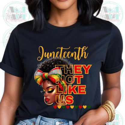 Juneteenth Black Pride Tee, They Not Like Us