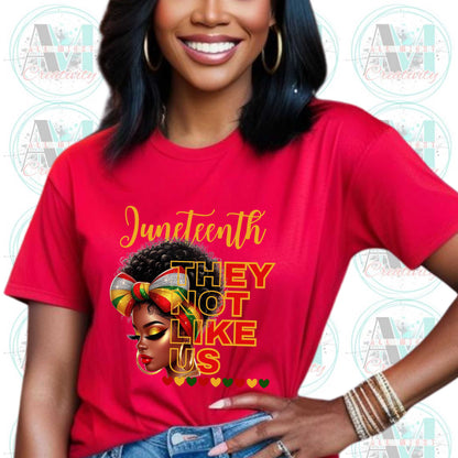 Juneteenth Black Pride Tee, They Not Like Us
